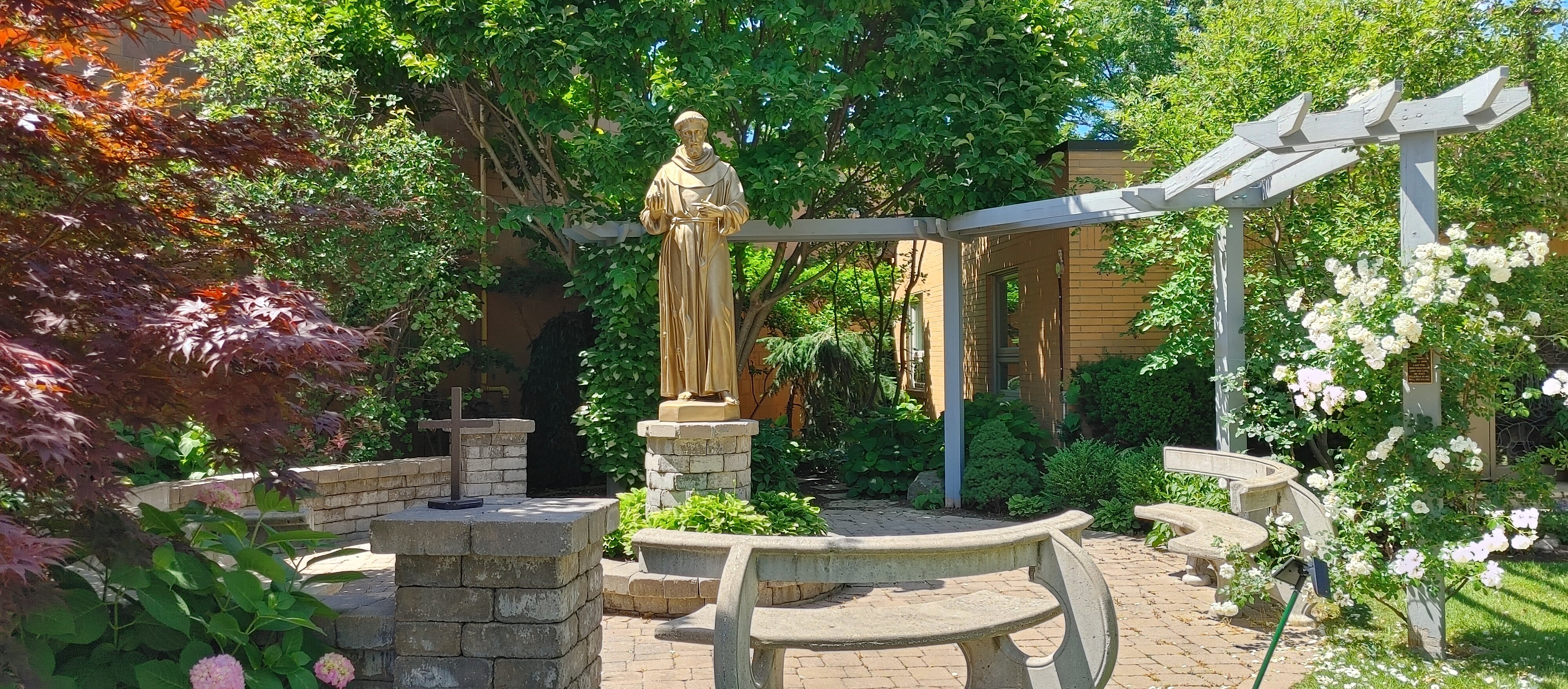 Golden St. Francis